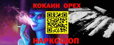 сатива Можга