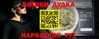 сатива Можга