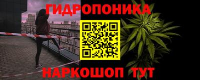 сатива Можга