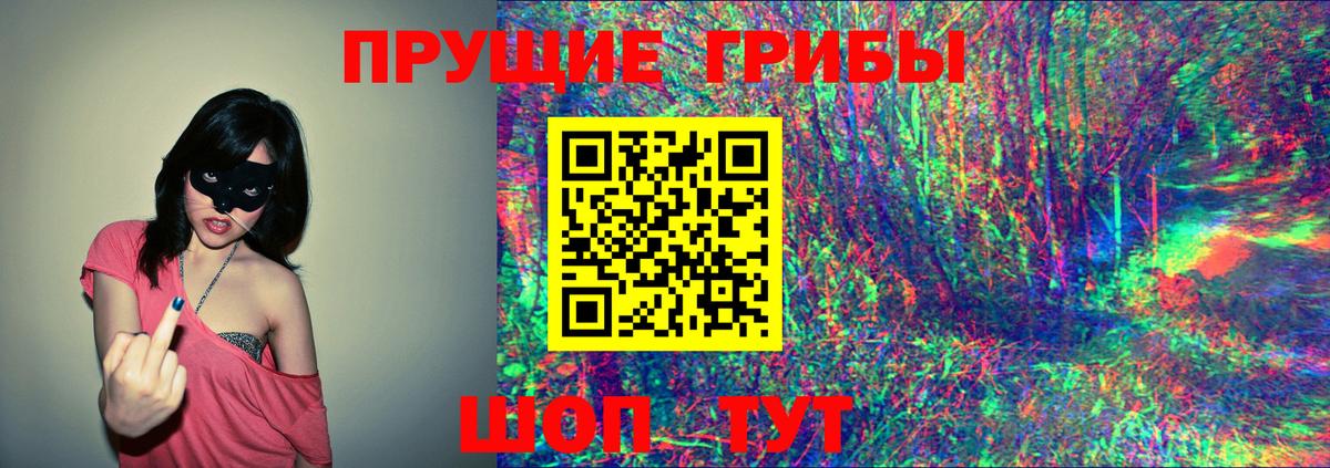 Верхняя Пышма  Галлюциногенные грибы GOLDEN TEACHER  Вход с VPN 