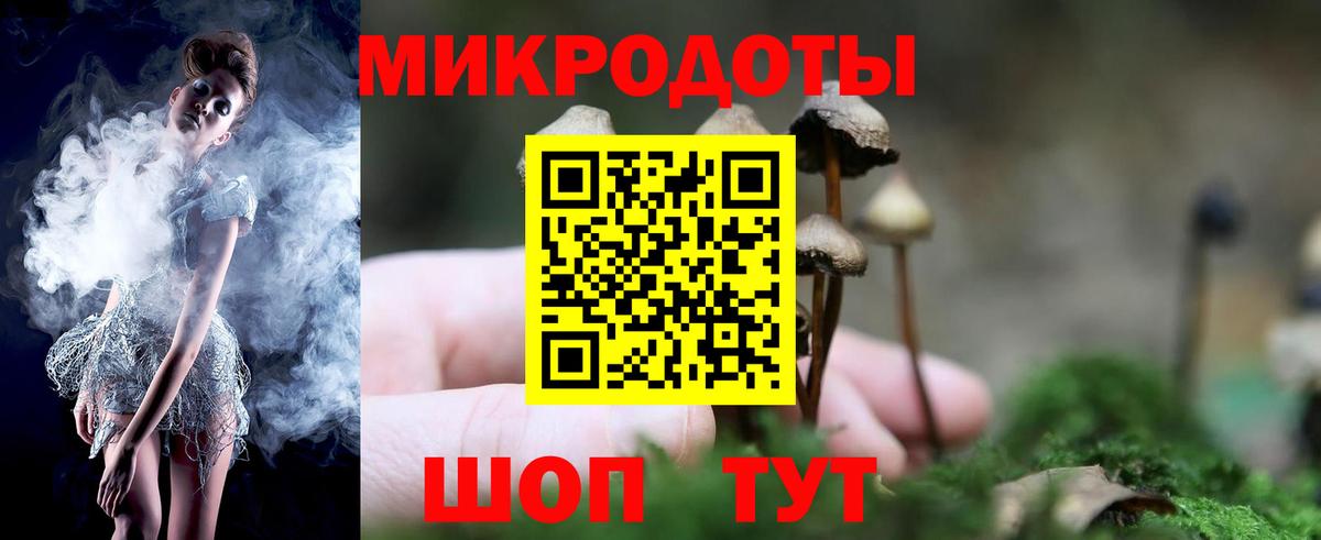 Галлюциногенные грибы мухоморы Верхняя Пышма